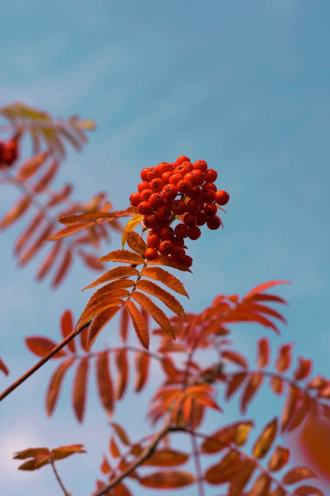 Photograph by Татьяна Пахатинская