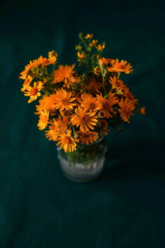 Photograph by Татьяна Пахатинская