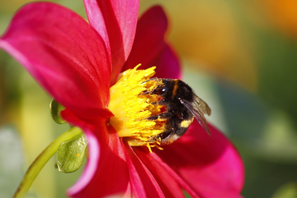 Photograph by Sergei Paramonov