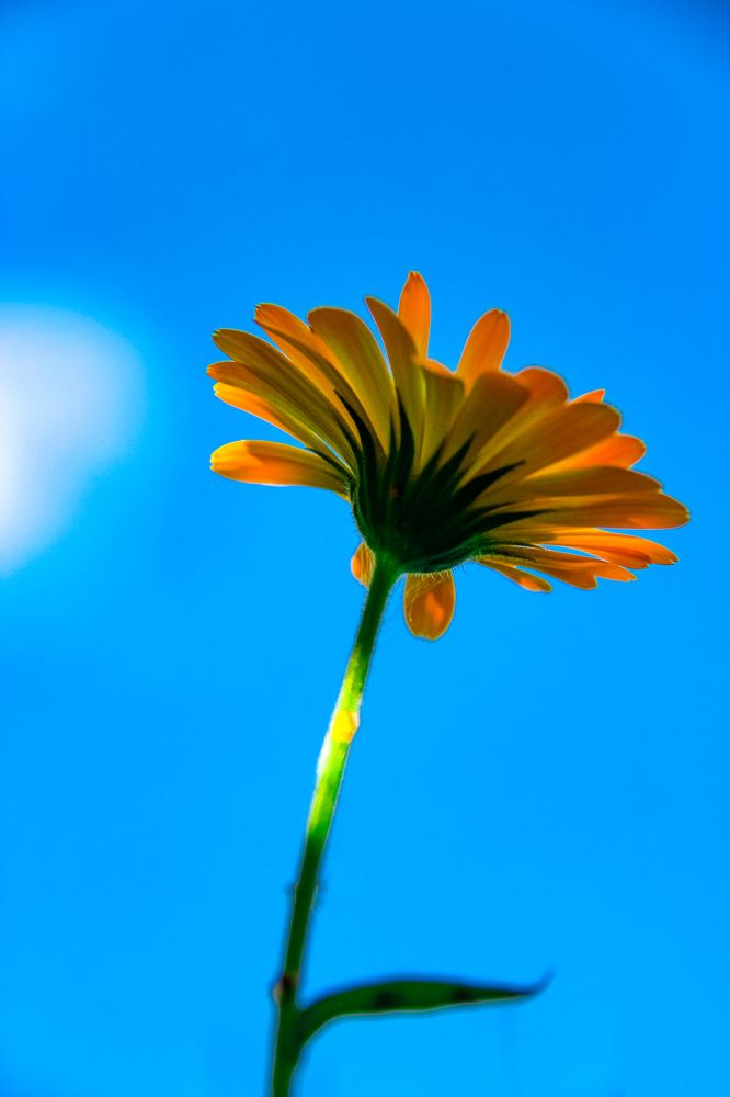 Photograph by Наталья Сапрыкина