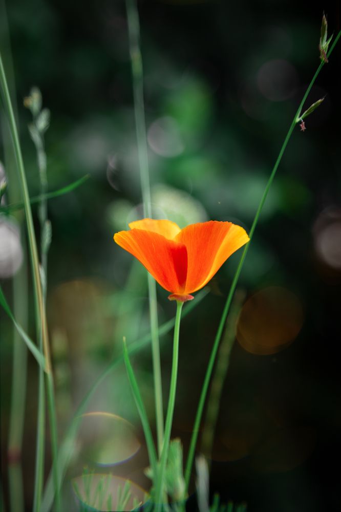 Photograph by Наталья Сапрыкина