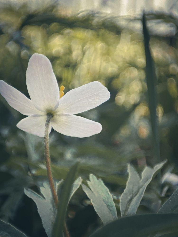 Photograph by Александра Петрова