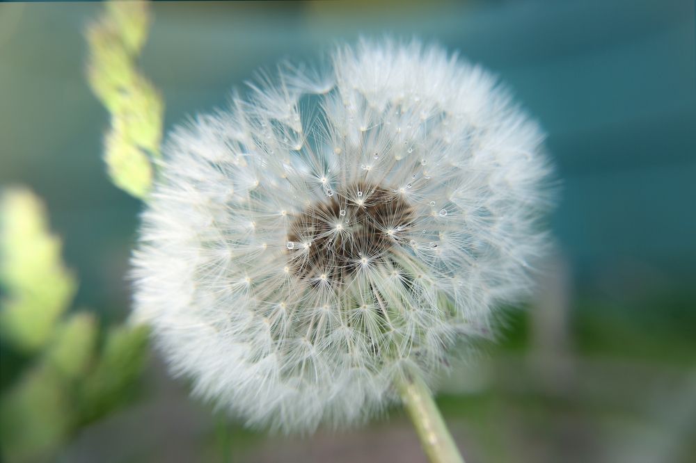 Photograph by Наталья Сапрыкина