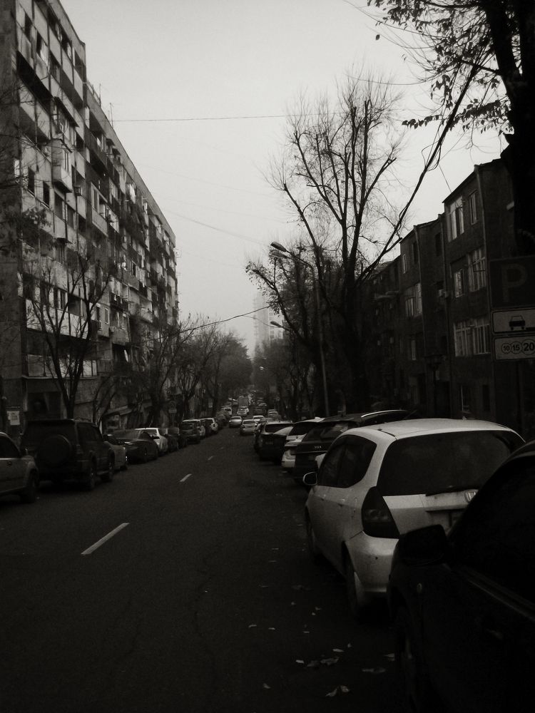 Photo #9507620