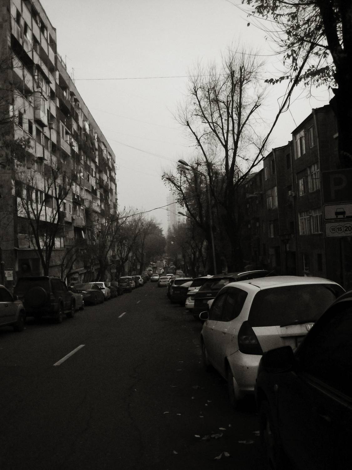Photo #9507620