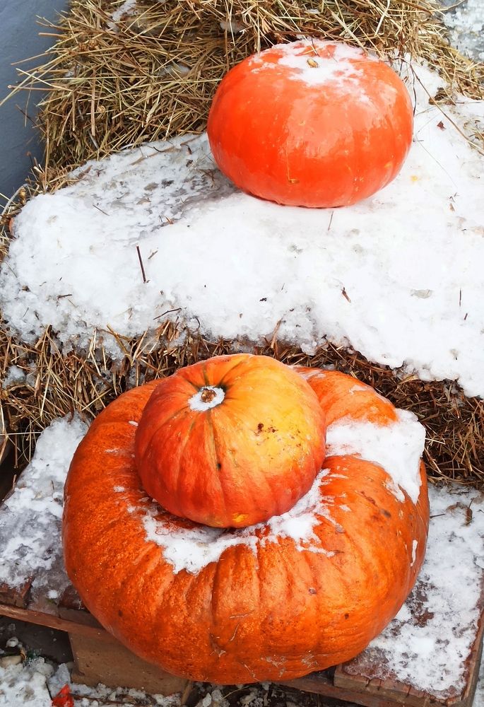 Поздняя осень...