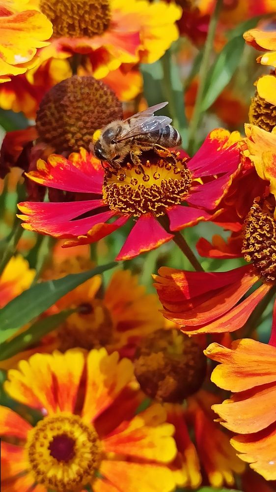 Солнечный день...