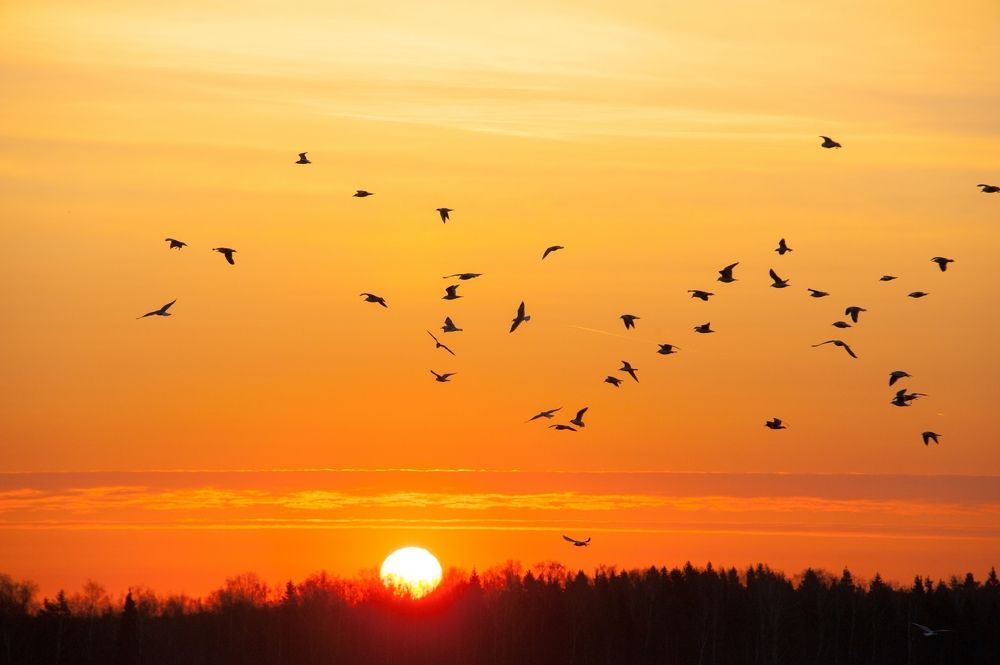 Photograph by Valery Kleymenov