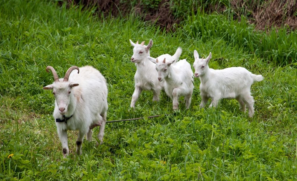 Photograph by Valery Kleymenov