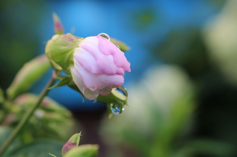 Фотография автора Nastasya Sablina