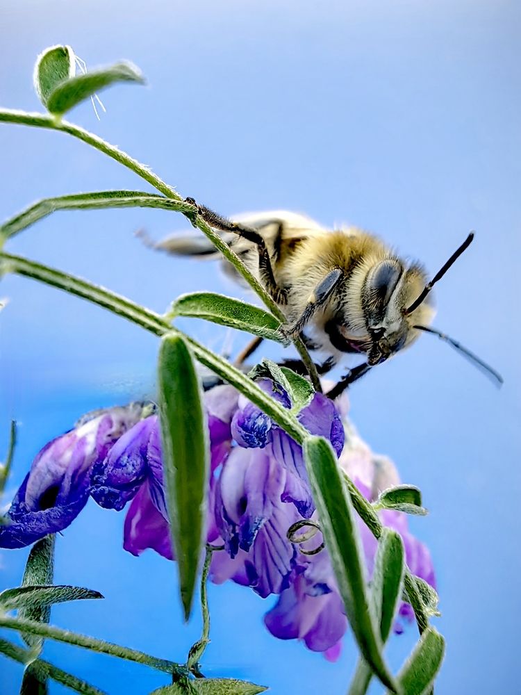 Photograph by Анна