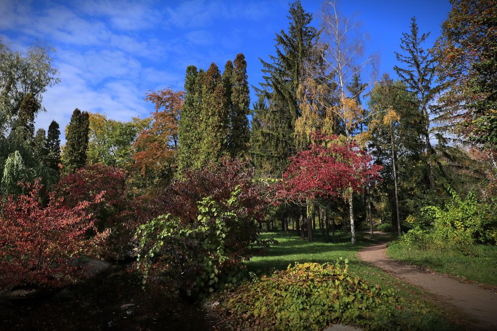 Начало осени.