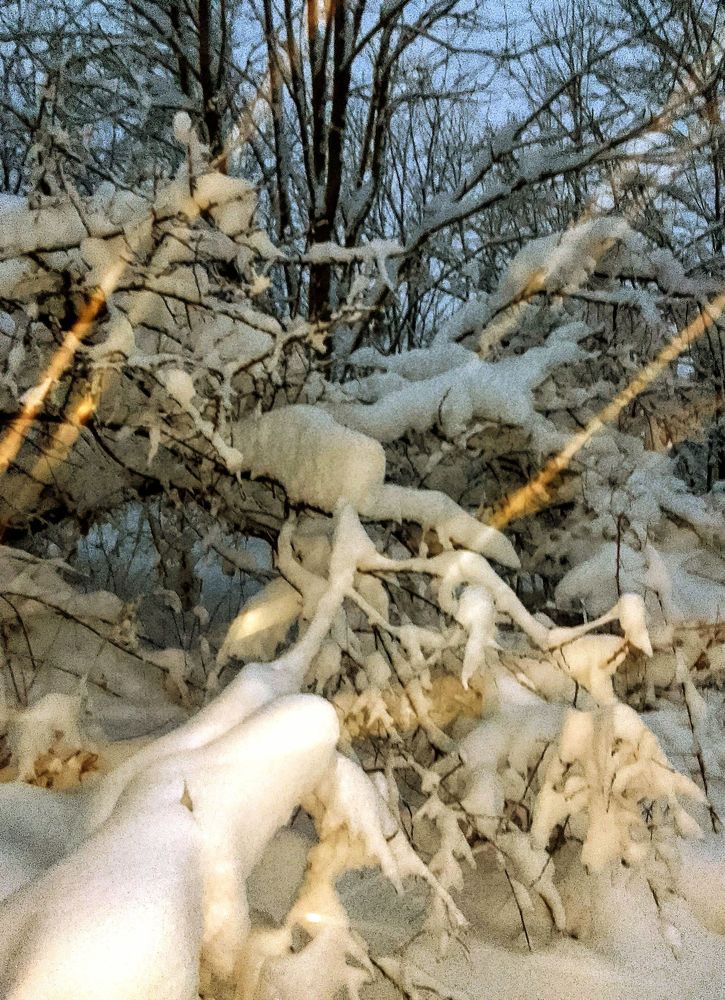 Photograph by Ирина