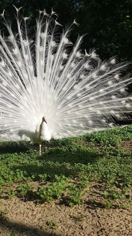 Фотография автора Ольга Мусина