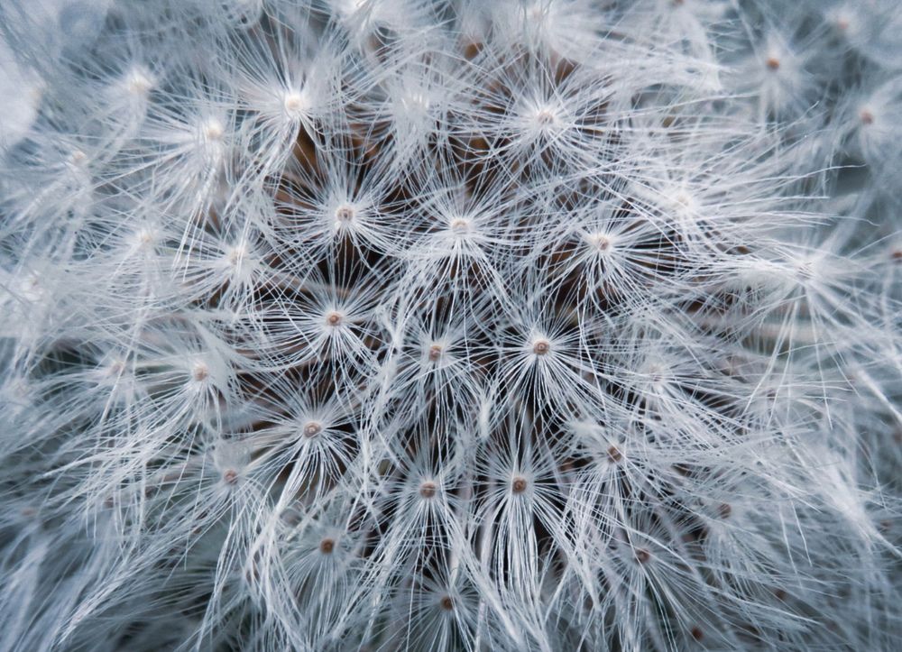 Photograph by Елена Гарипова