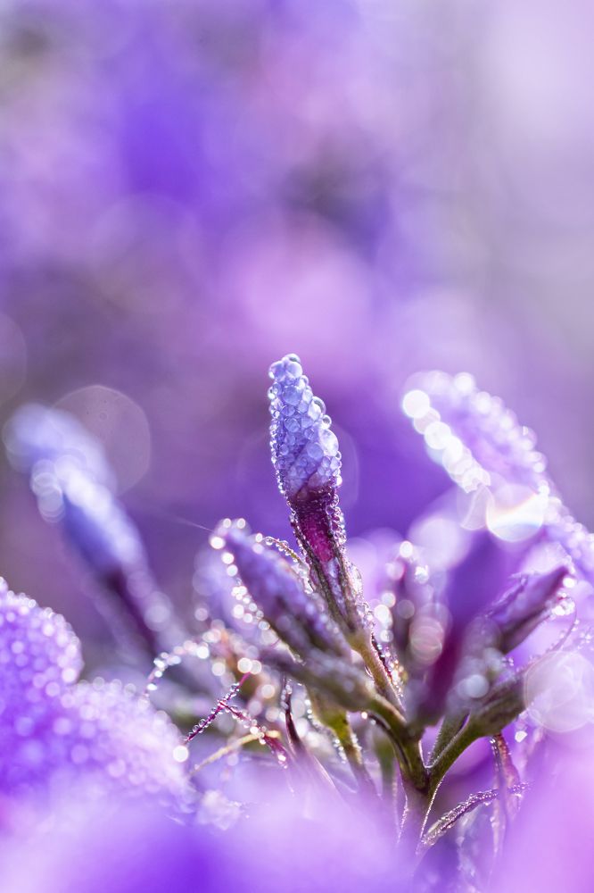 Photograph by Monika Cebula