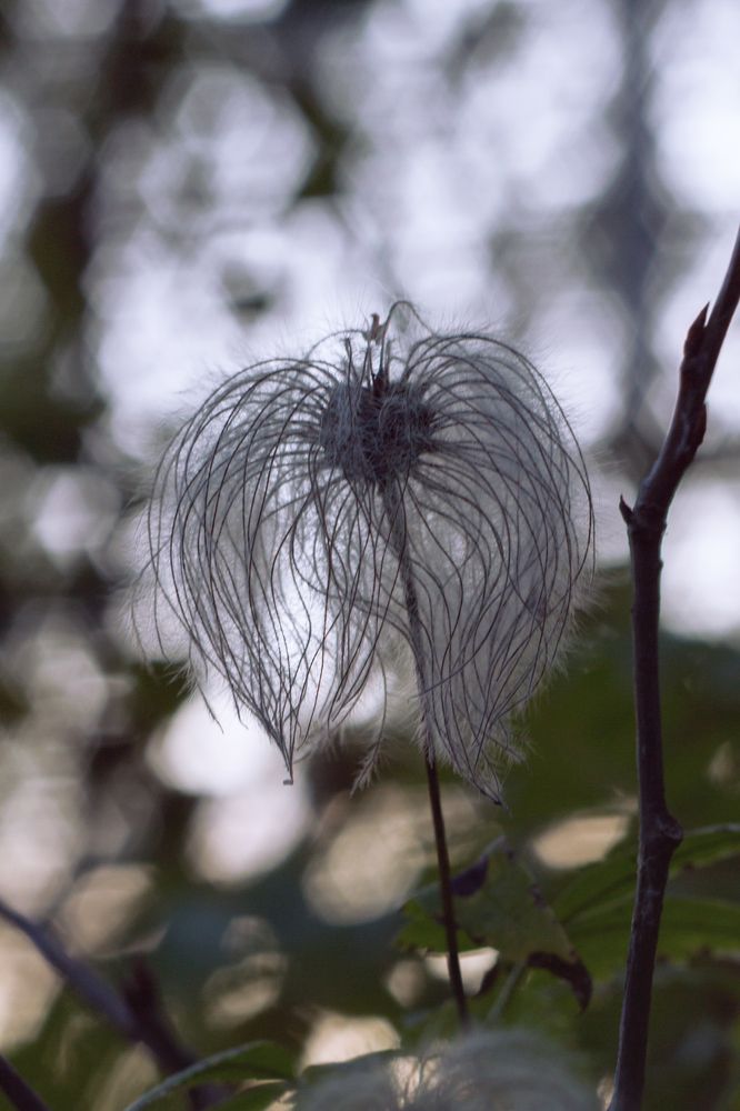 Photograph by Эльвира Львицкая