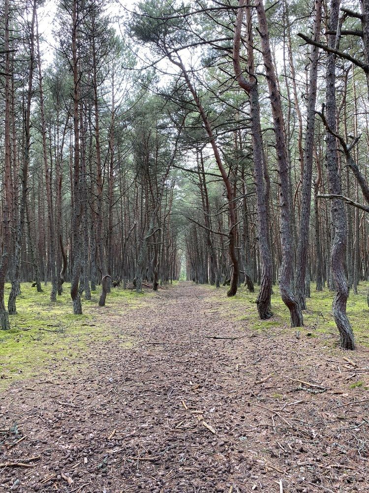 Photograph by Светлана Яковлева