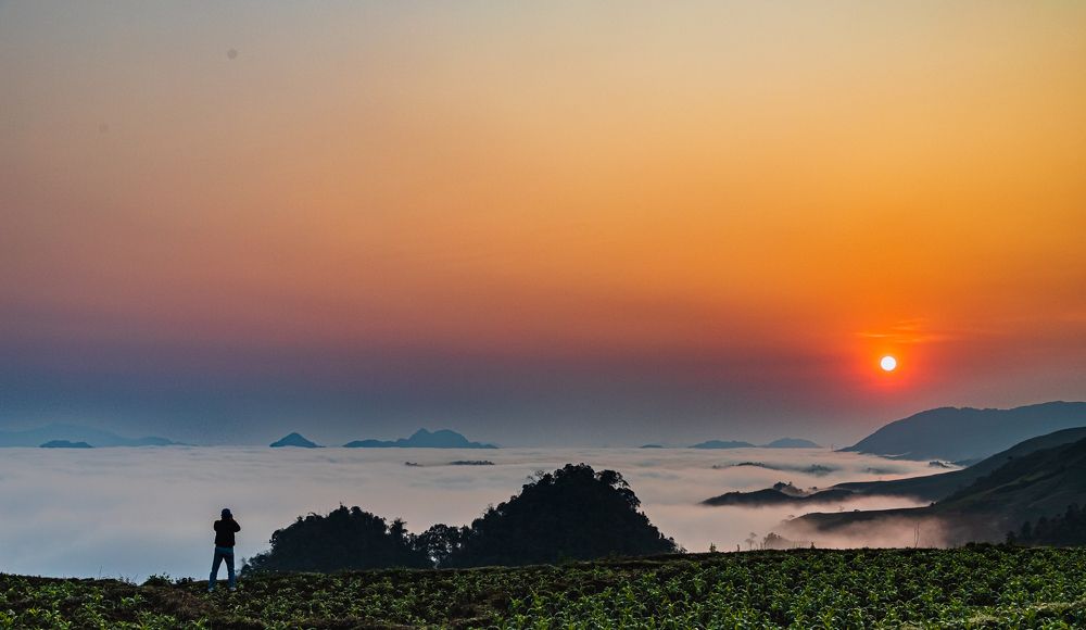 Фотография автора Quan Hung