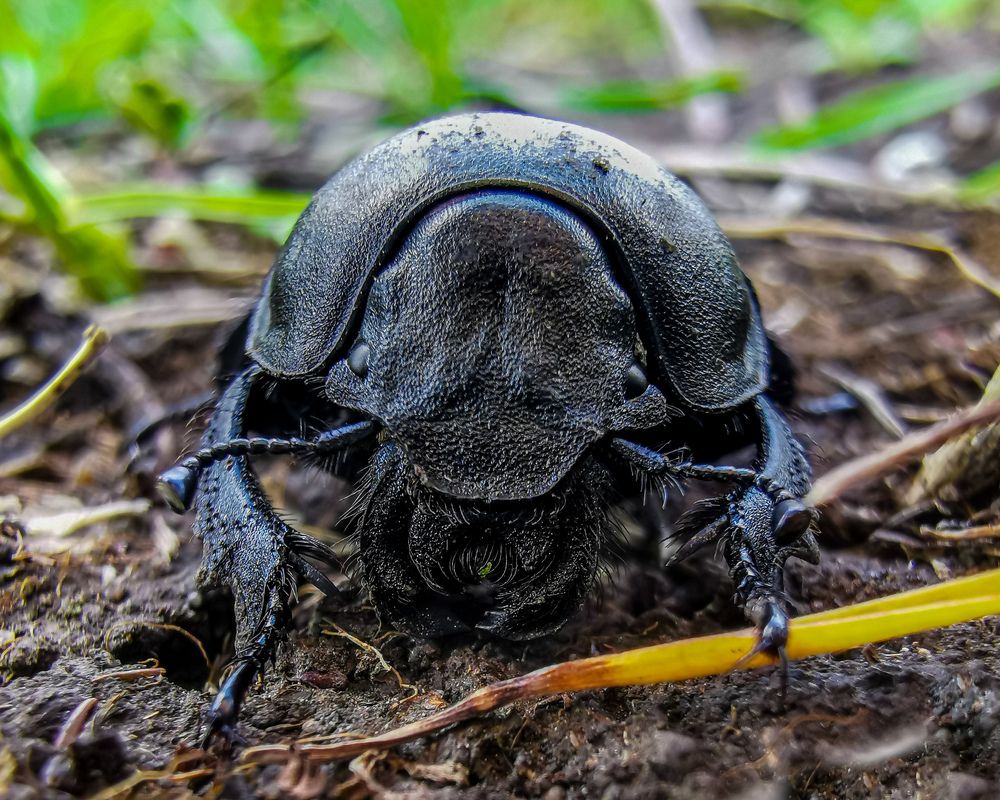 Фотография автора Дмитрий
