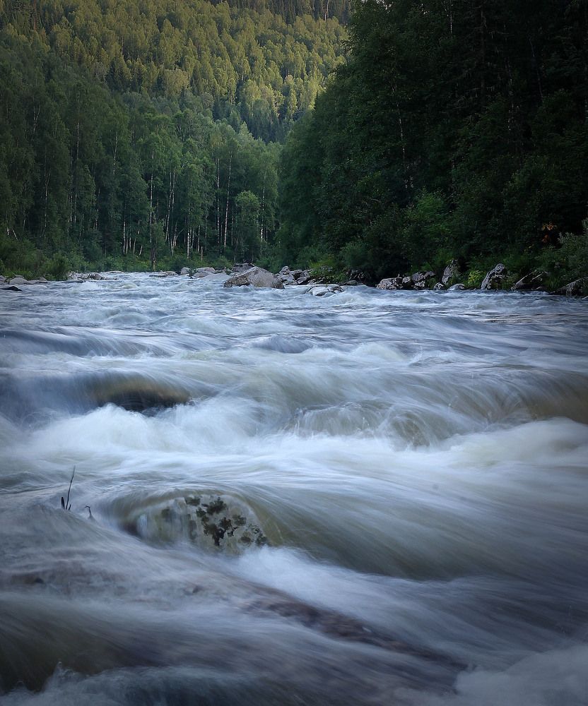 Фотография автора Любовь Харина