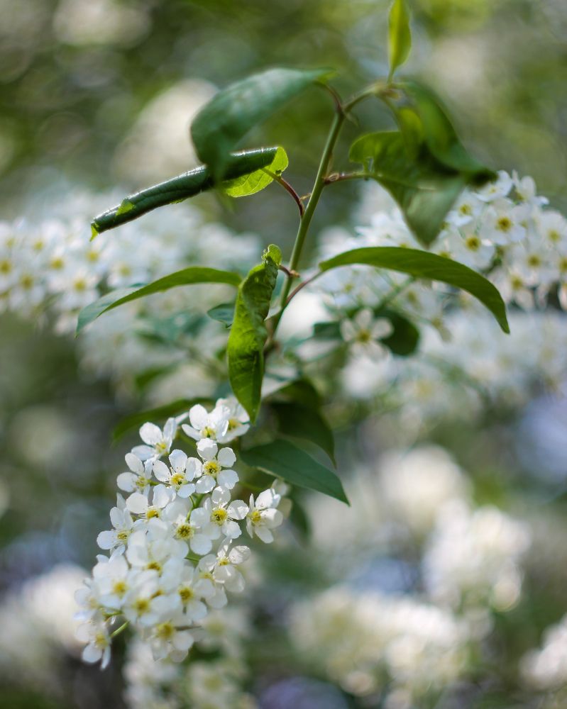 Photograph by Kostantin Belonogov