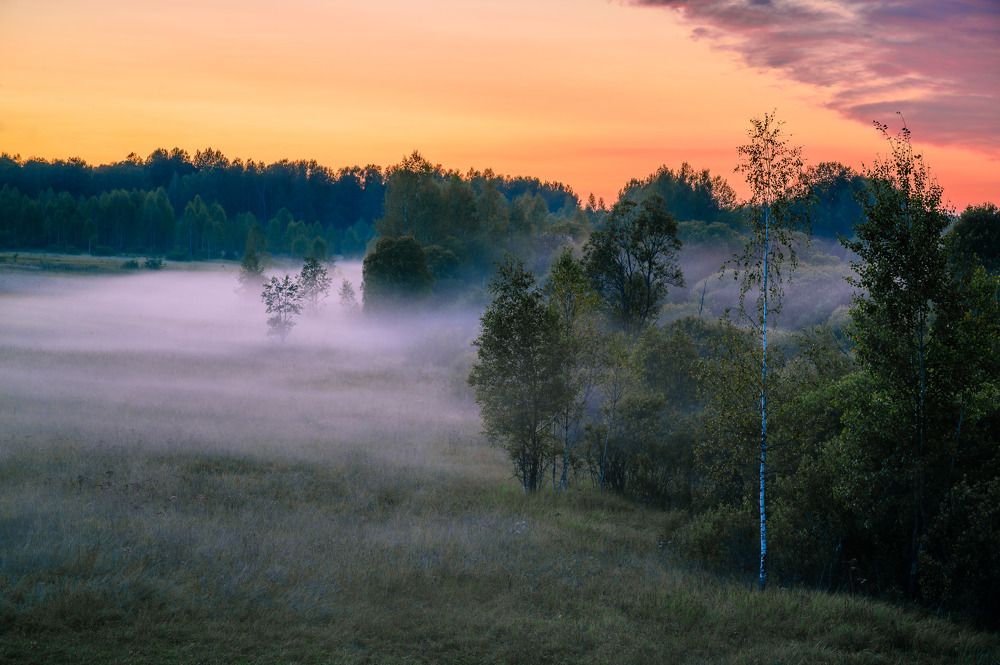 Photograph by Бабурин Олег
