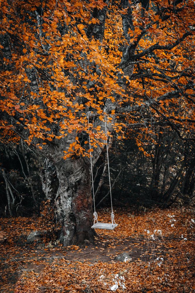 Photograph by Александр Дмитриев