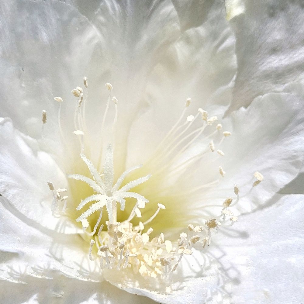 Photograph by Catherine