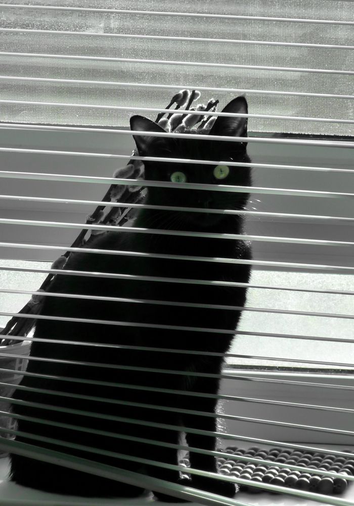 Photograph by Андрей Евтеев