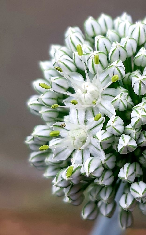 Фотография автора Ирина Лукьянчик