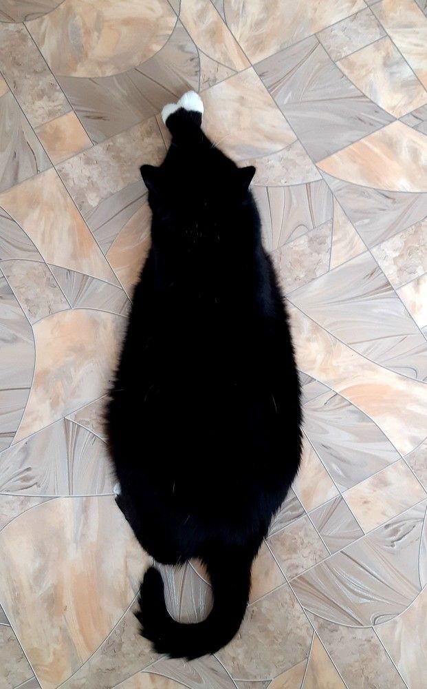 Фотография автора Ирина Лукьянчик