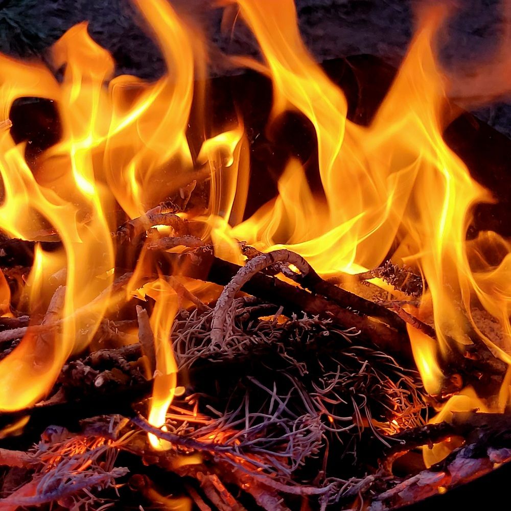 Photograph by Oksana Sabeleva