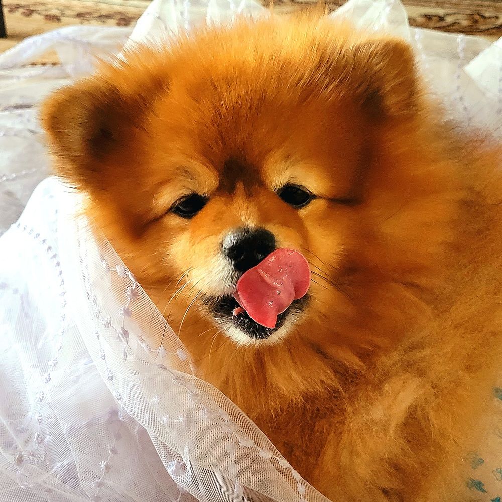 Photograph by Oksana Sabeleva