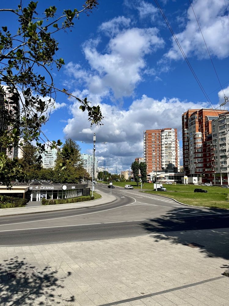 Улица Академика Пилюгина