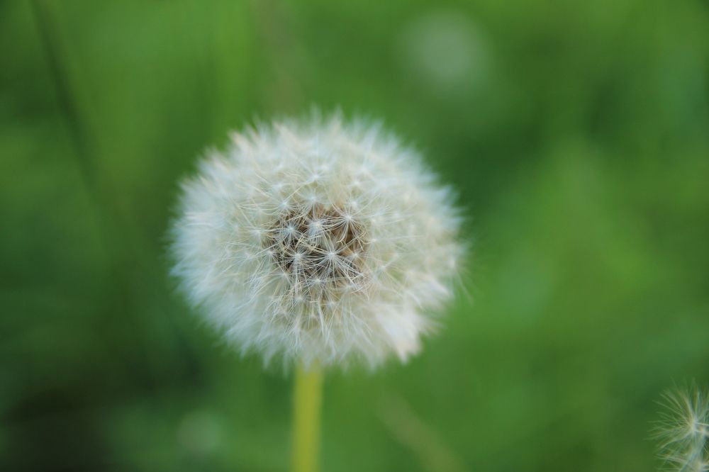 Photograph by Виктория Хмара