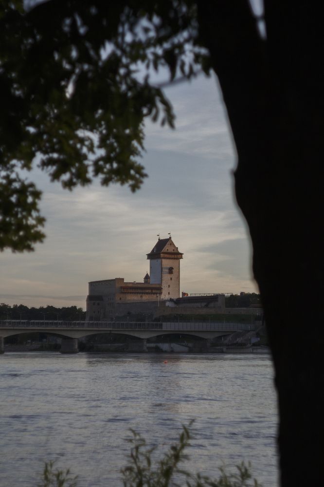 Photograph by Anna Dubinina