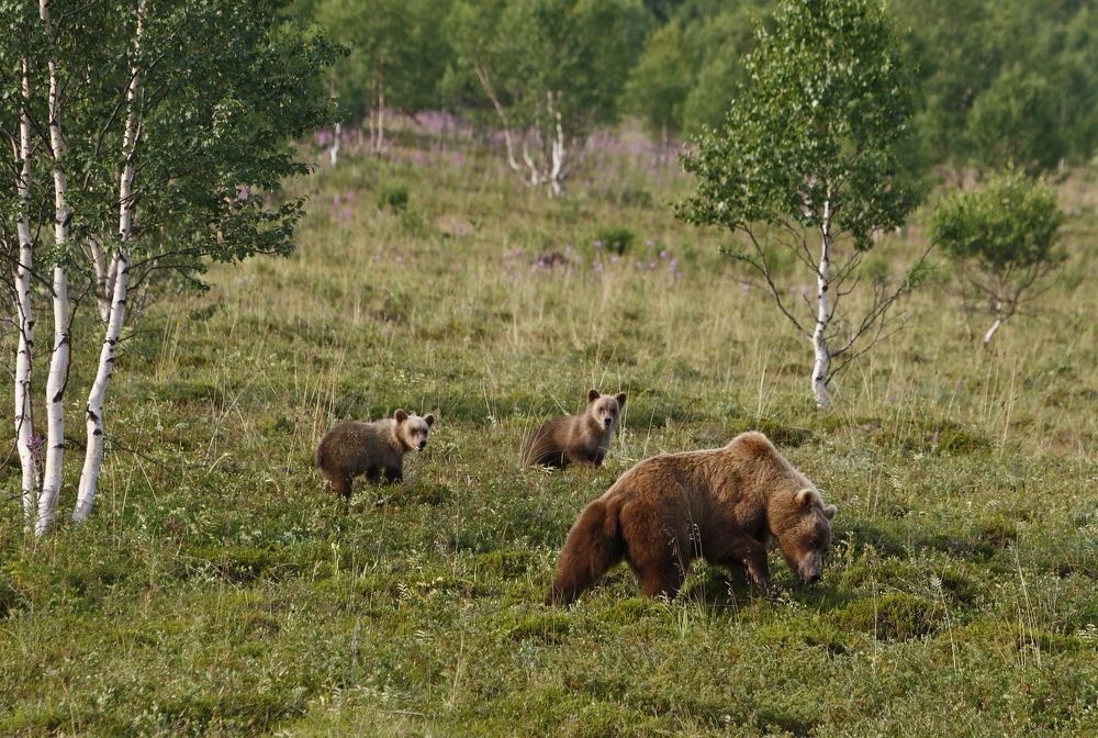 Photograph by Наталья Турчик