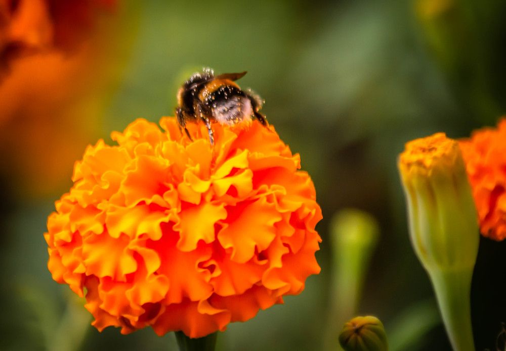 Photograph by Ольга Сафронова