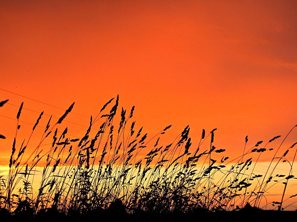 Photograph by Ольга Сафронова