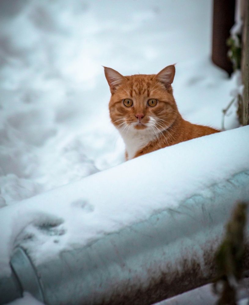 Photograph by Ольга Сафронова