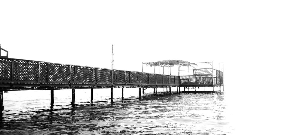 Фотография автора Adel elqamhawi Mohamed