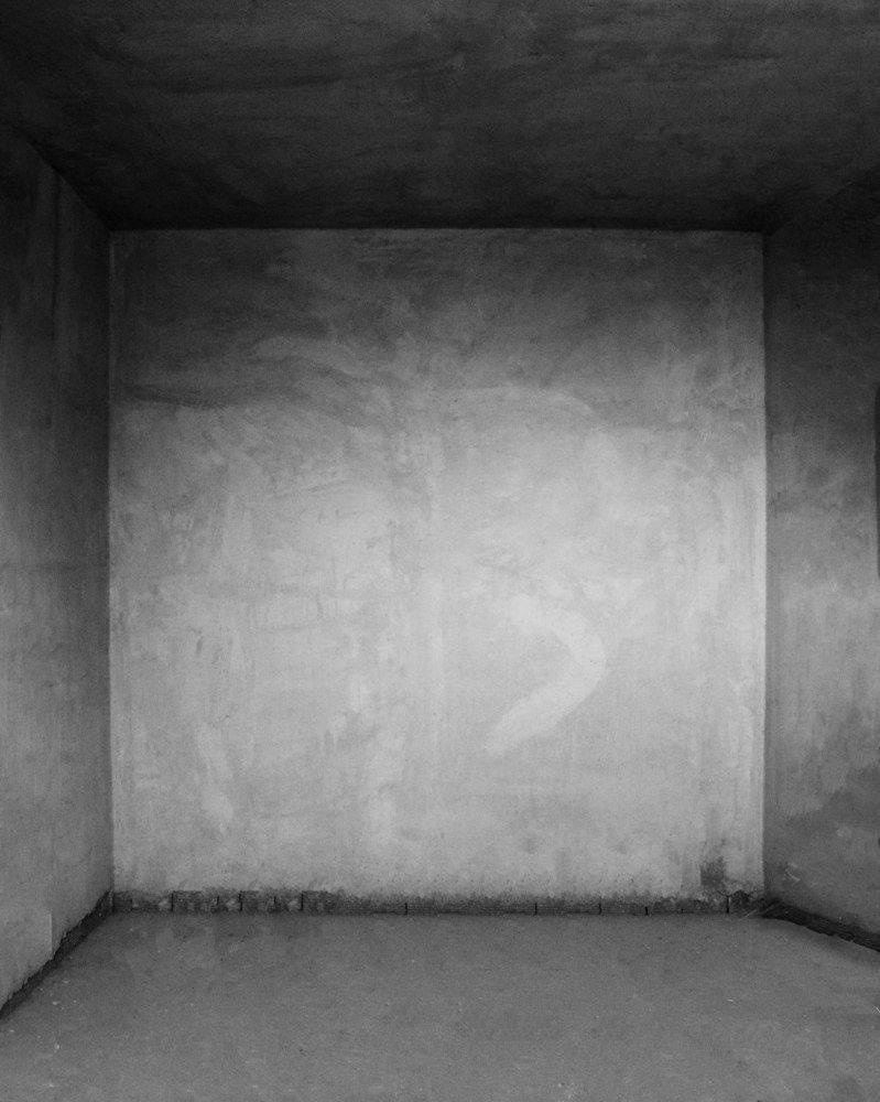 Photograph by Negin Khorsandi