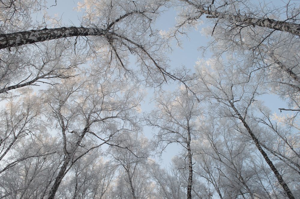 Photograph by Ирина Стоянкова