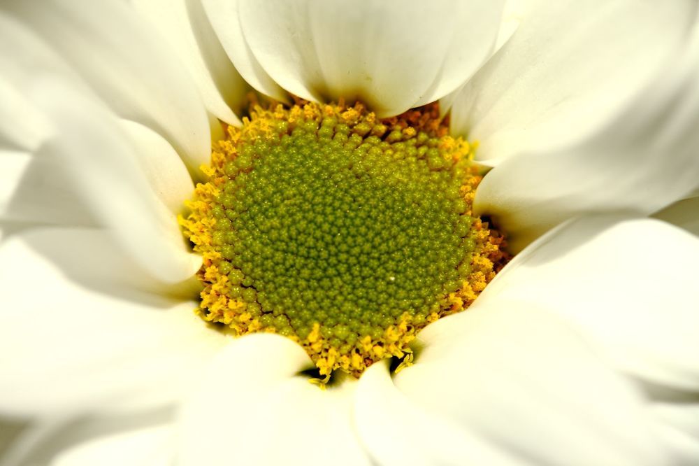 Photograph by Юрий Варюхин