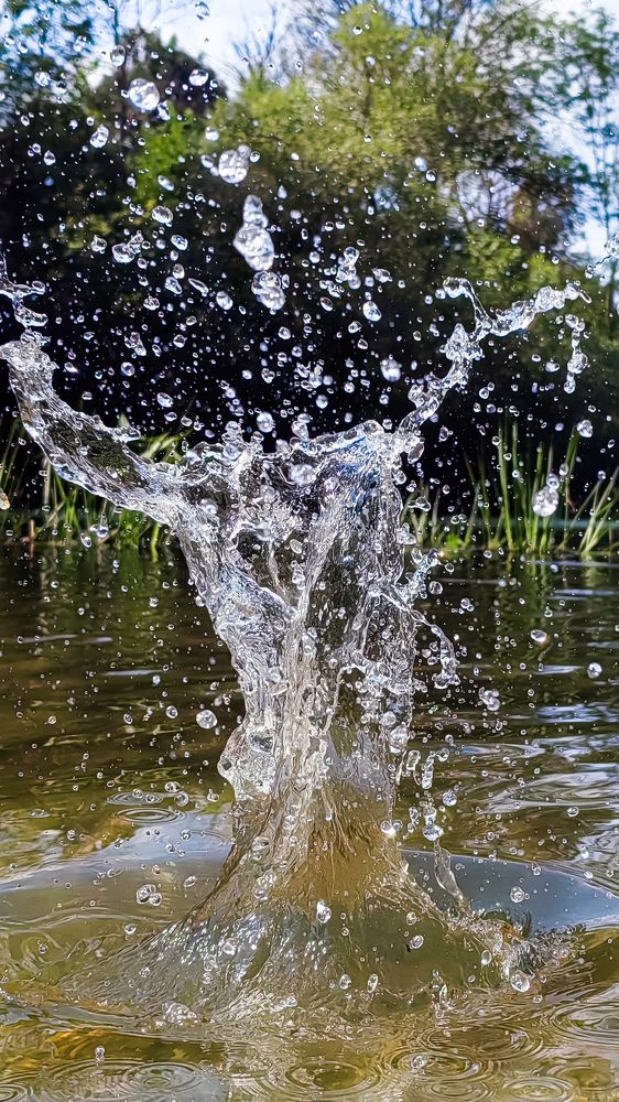 Photograph by Анастасия