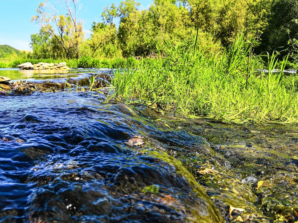 Photograph by Анастасия