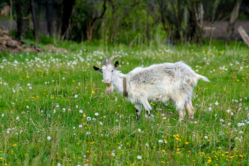 Photograph by Алексей Трифонов