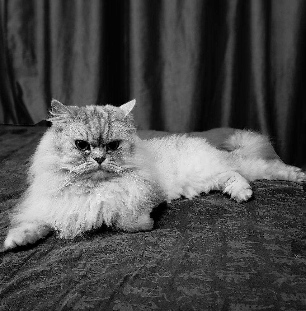 Photograph by Nataliya Kalinina