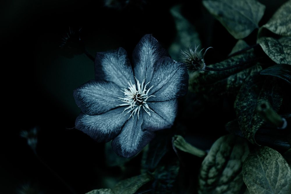 Photograph by Сергей ПЛАТОНОВ